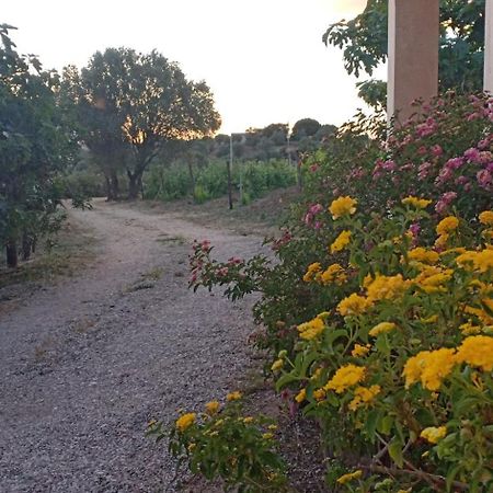 Agriturismo Muristene Villa Доргали Екстериор снимка