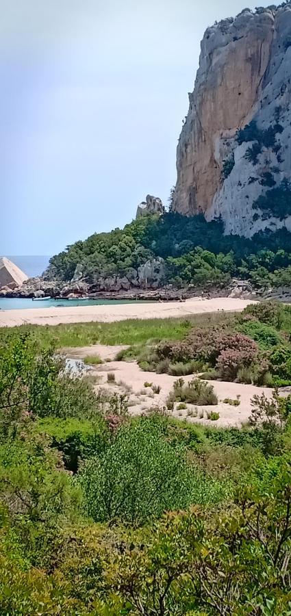 Agriturismo Muristene Villa Доргали Екстериор снимка