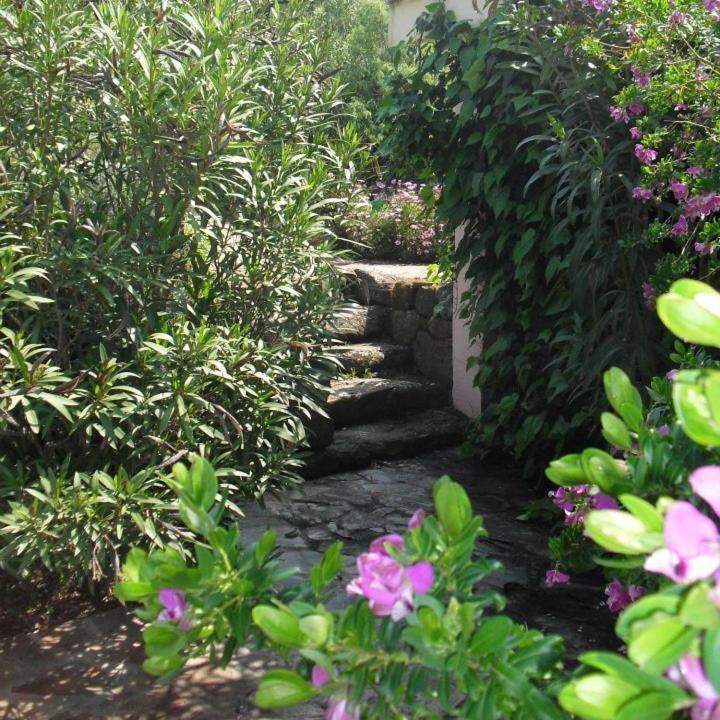 Agriturismo Muristene Villa Доргали Екстериор снимка