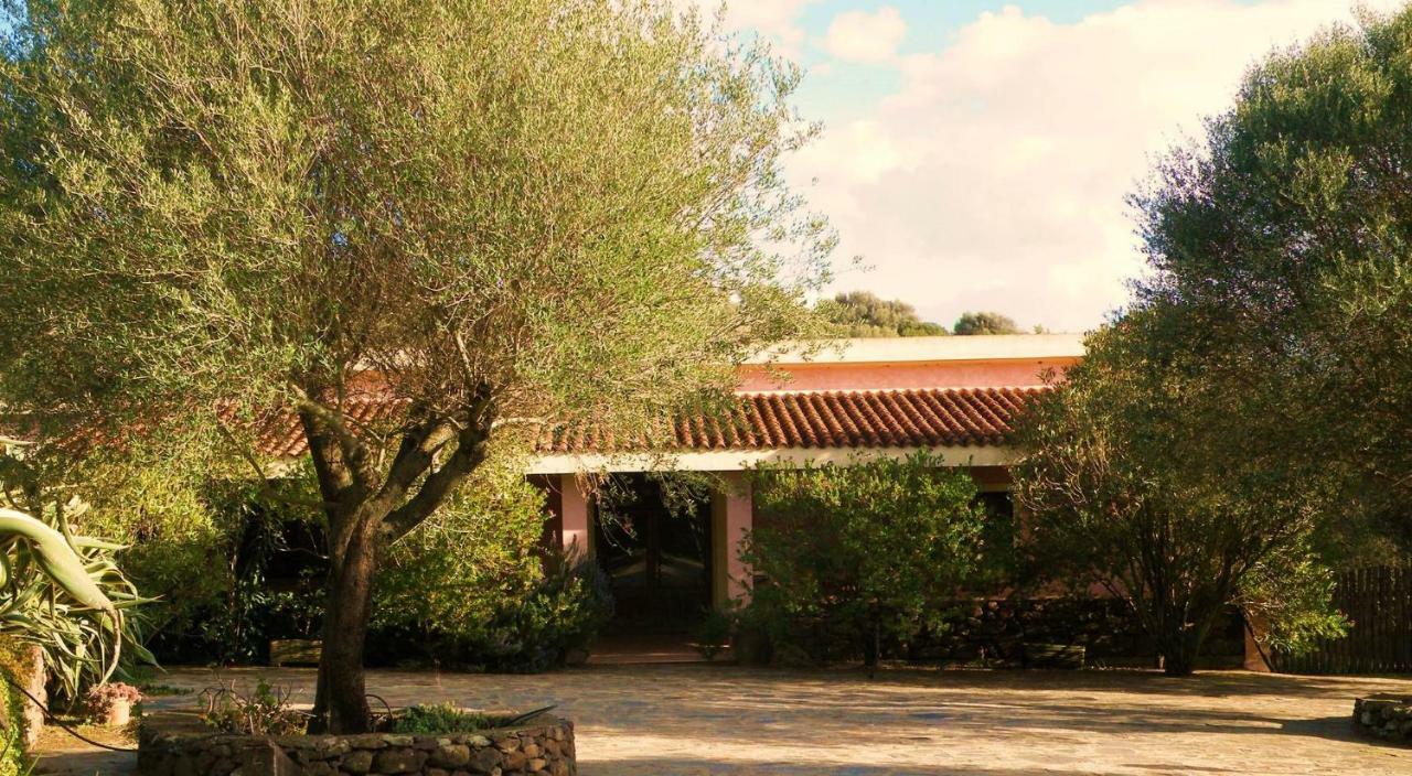 Agriturismo Muristene Villa Доргали Екстериор снимка